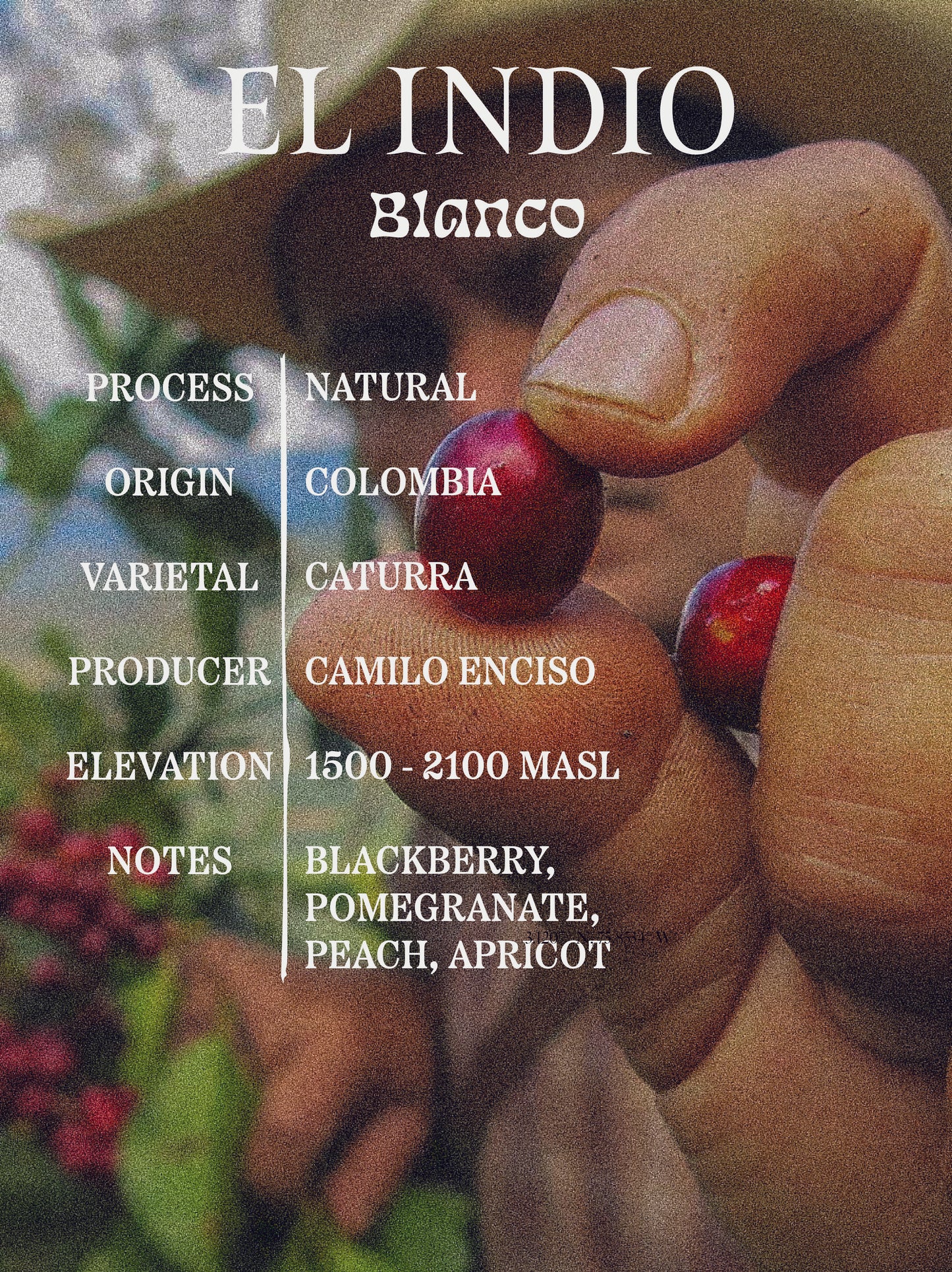 SINGLE ORIGIN - EL INDIO
